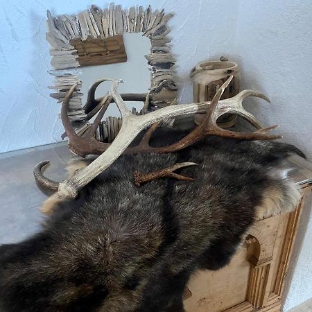 Haus Schnoeller Leilighet Bach  Eksteriør bilde